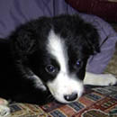 Trudy was adopted in March, 2005